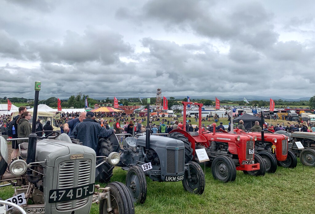 Vintage tractors  by happypat