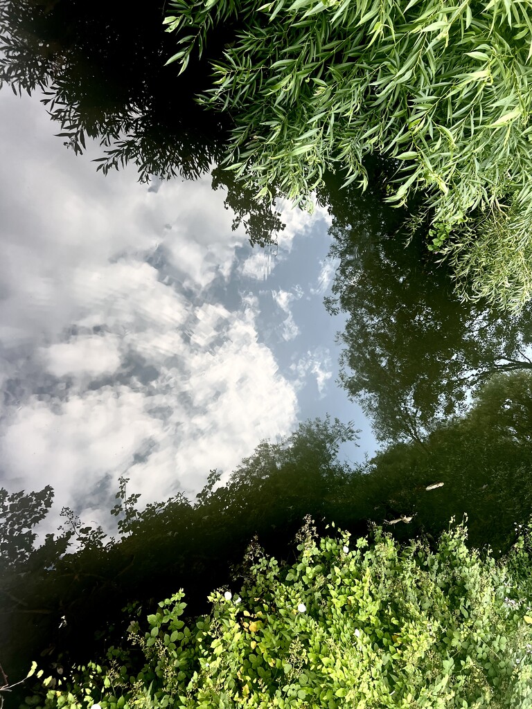 Reflections in the Pond  by rensala