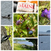 Machiasport Maine, Day 17 by berelaxed