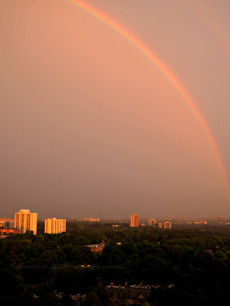 my rainbow by summerfield