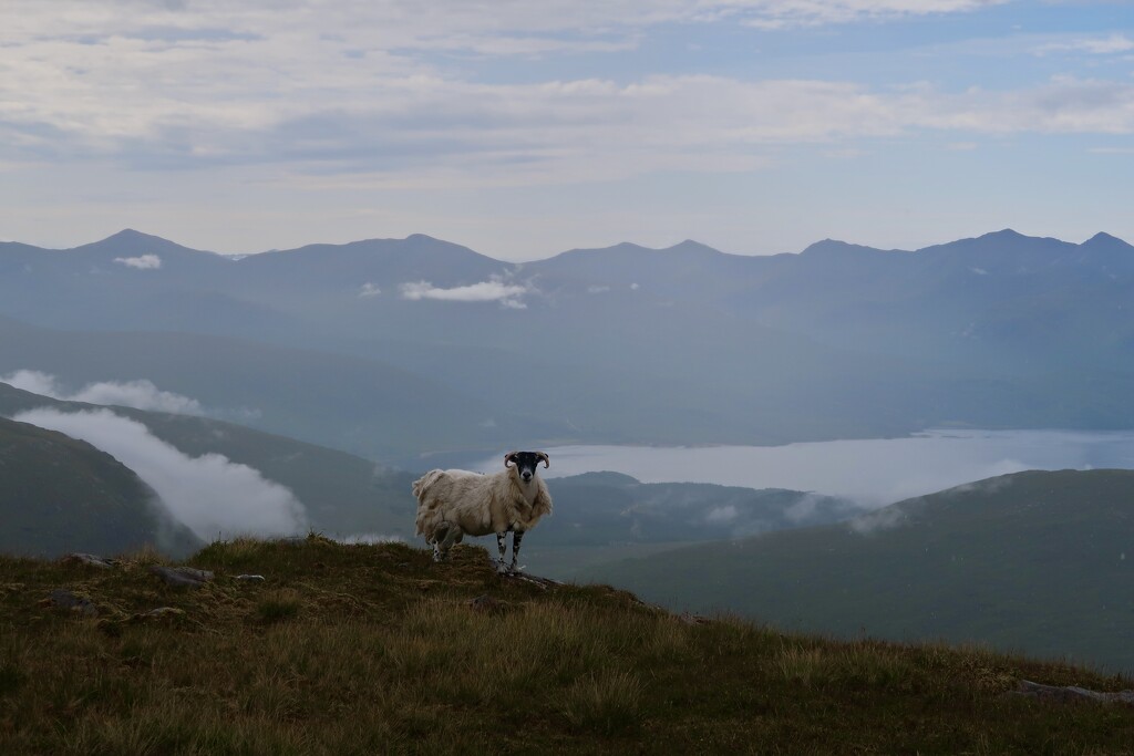 Beinn Sgulaird by jamibann