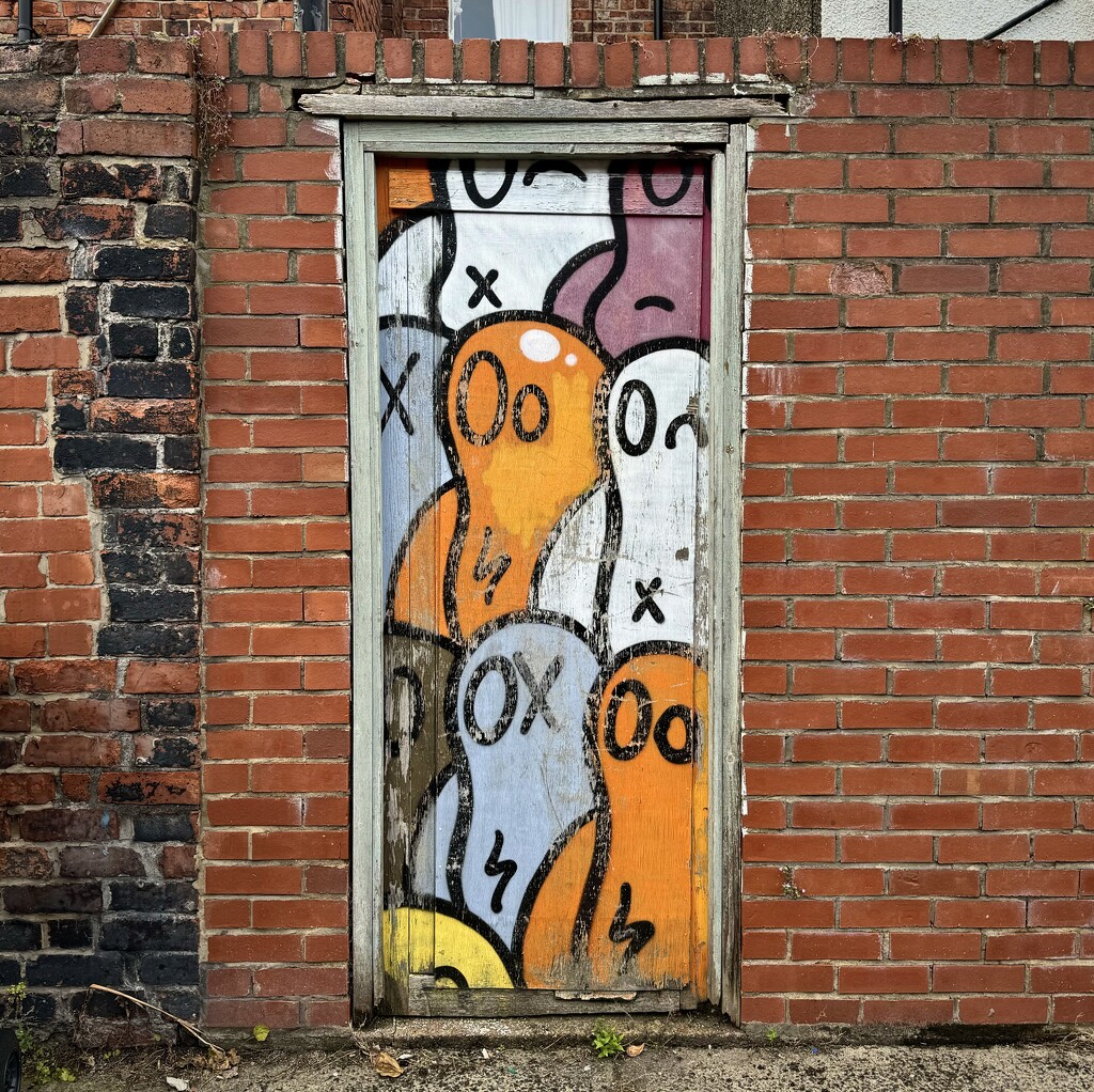 Backdoor Graffiti by eviehill