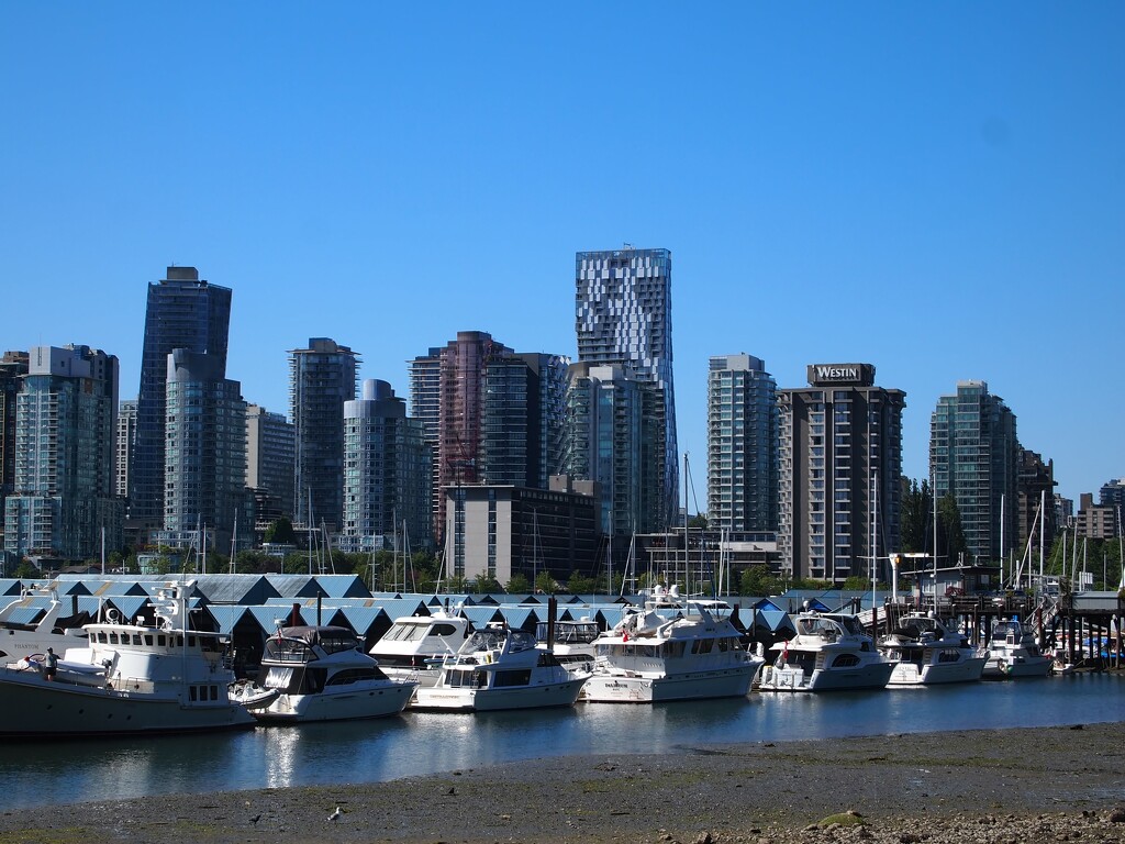 Vancouver skyline by blueberry1222