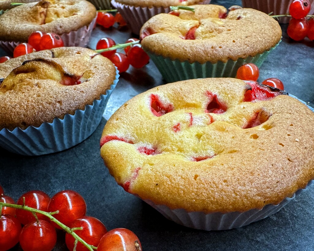 Redcurrant cakes by anncooke76