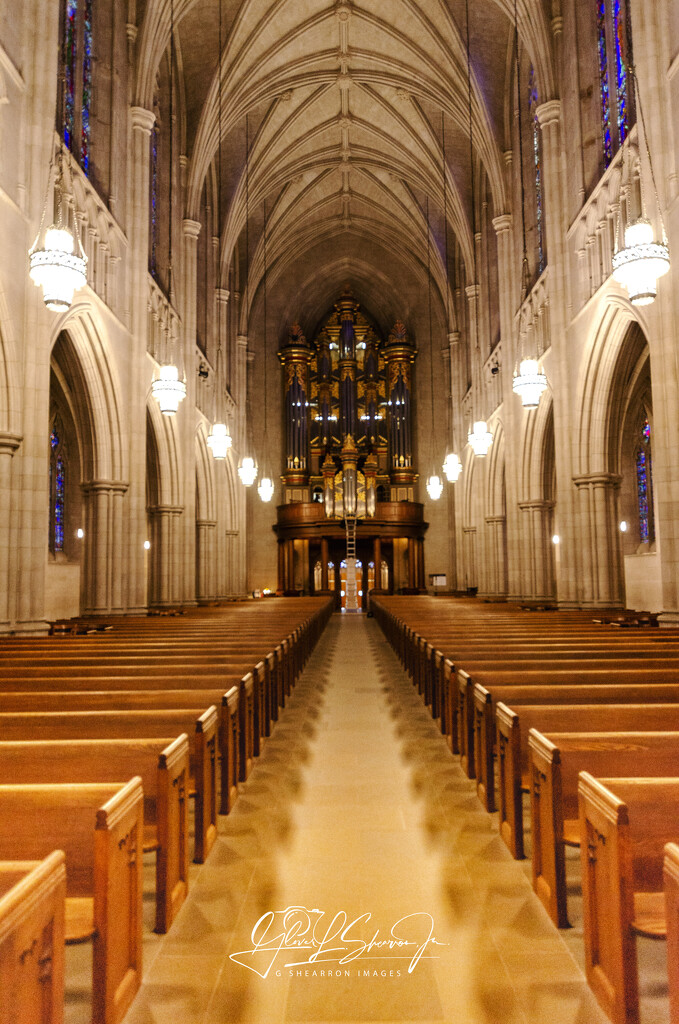 Interior of church at Duke University by ggshearron