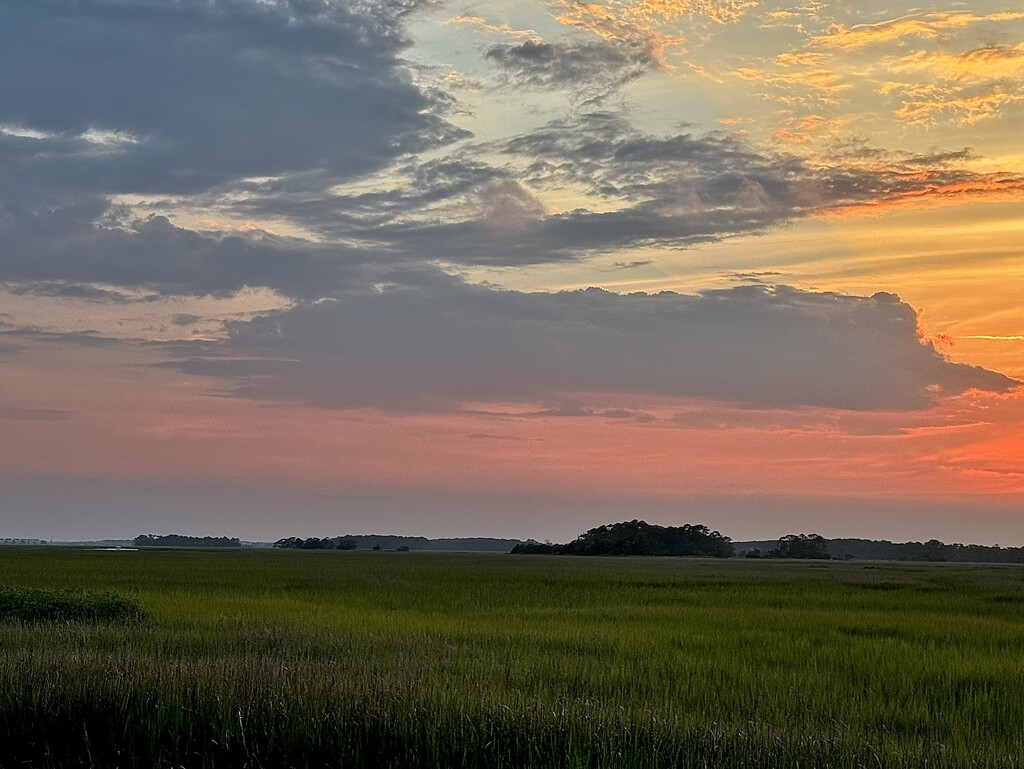 Marsh sunset by congaree