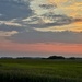 Marsh sunset