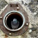 Porthole Pigeon by jamibann