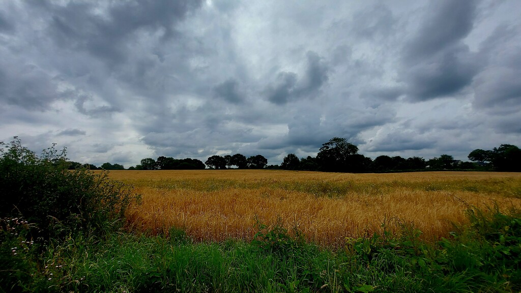 Cloudy Cheshire Countryside  by antmcg69