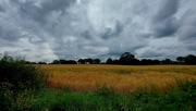 16th Jul 2024 - Cloudy Cheshire Countryside 