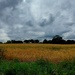 Cloudy Cheshire Countryside  by antmcg69