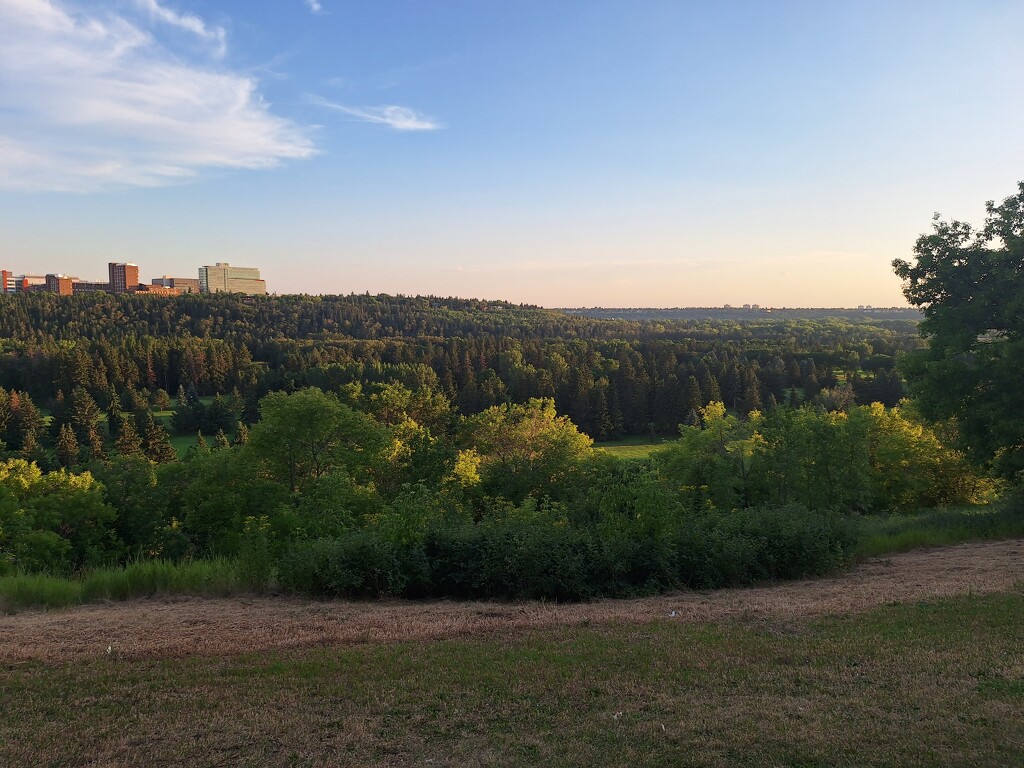 My Green Valley  by bkbinthecity