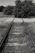 15th Jul 2024 - End of the line