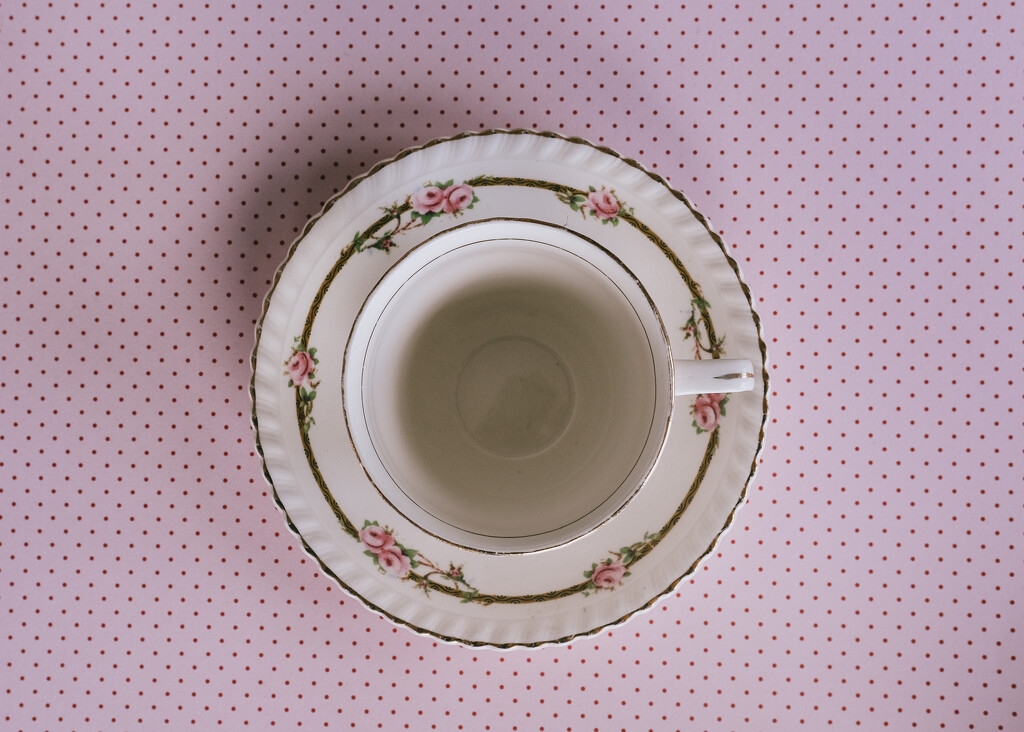 cup and saucer by brigette