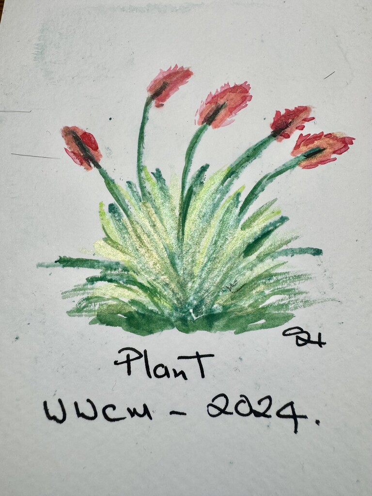 Plant by wakelys