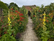 13th Jul 2024 - PACKWOOD HOUSE GARDEN.