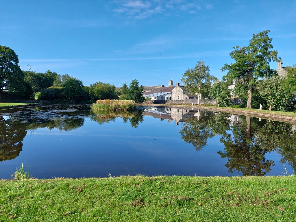 The pond, Colliston Park by samcat