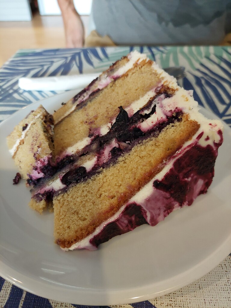 Blueberry and almond cake, a shared treat by samcat