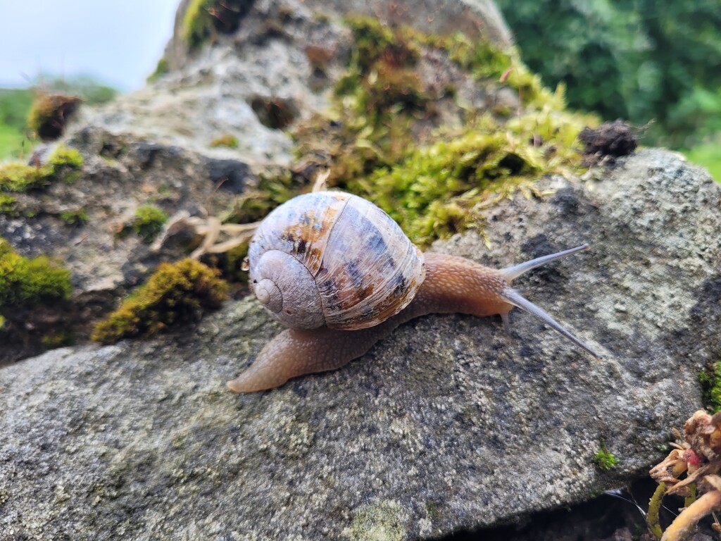 Scaling the peak! by clearday