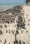 17th Jul 2024 - Wreck of the Joseph S. Fay, Lake Huron