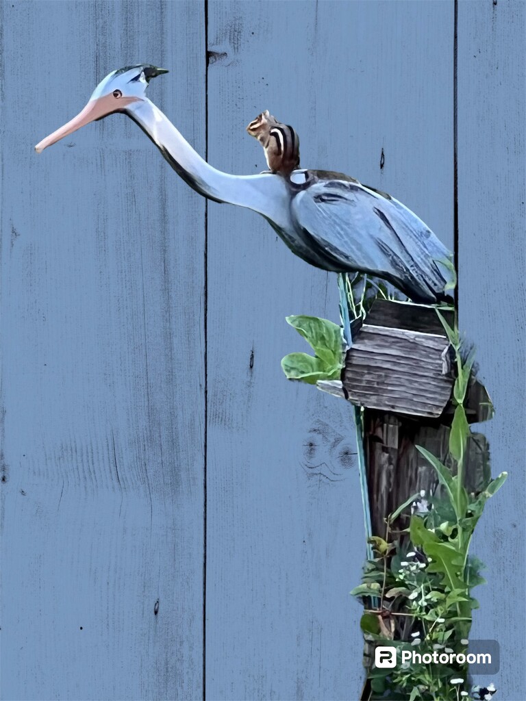 Blue Heron and Chipmunk by radiogirl