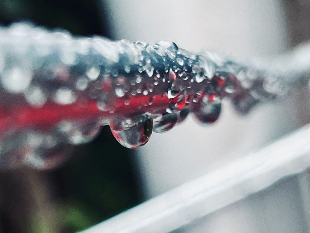 Rain and an abandoned shopping trolley by gaillambert