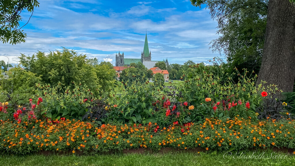 Nidaros Cathedral by elisasaeter