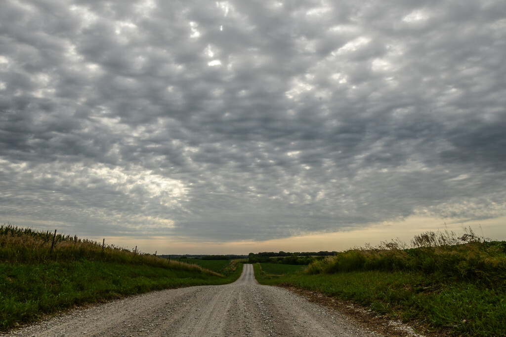 Lovely Scene on My Morning Commute by kareenking