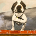 Tetley the dog (painting) by stuart46