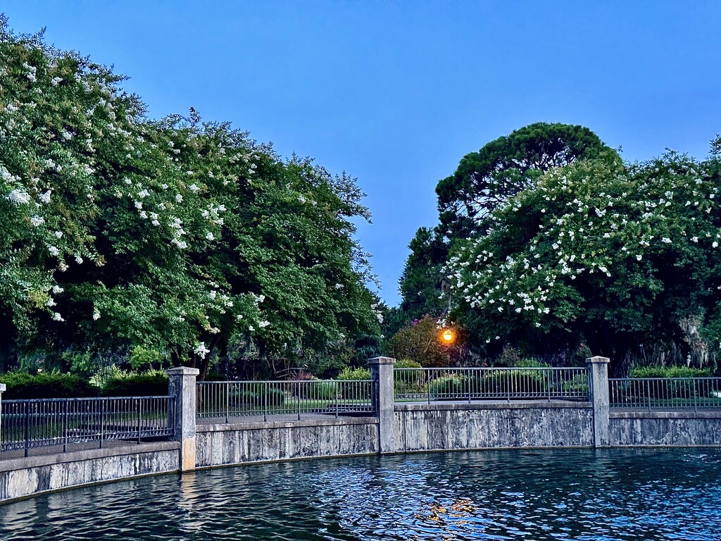 Hampton Park right after sunset by congaree