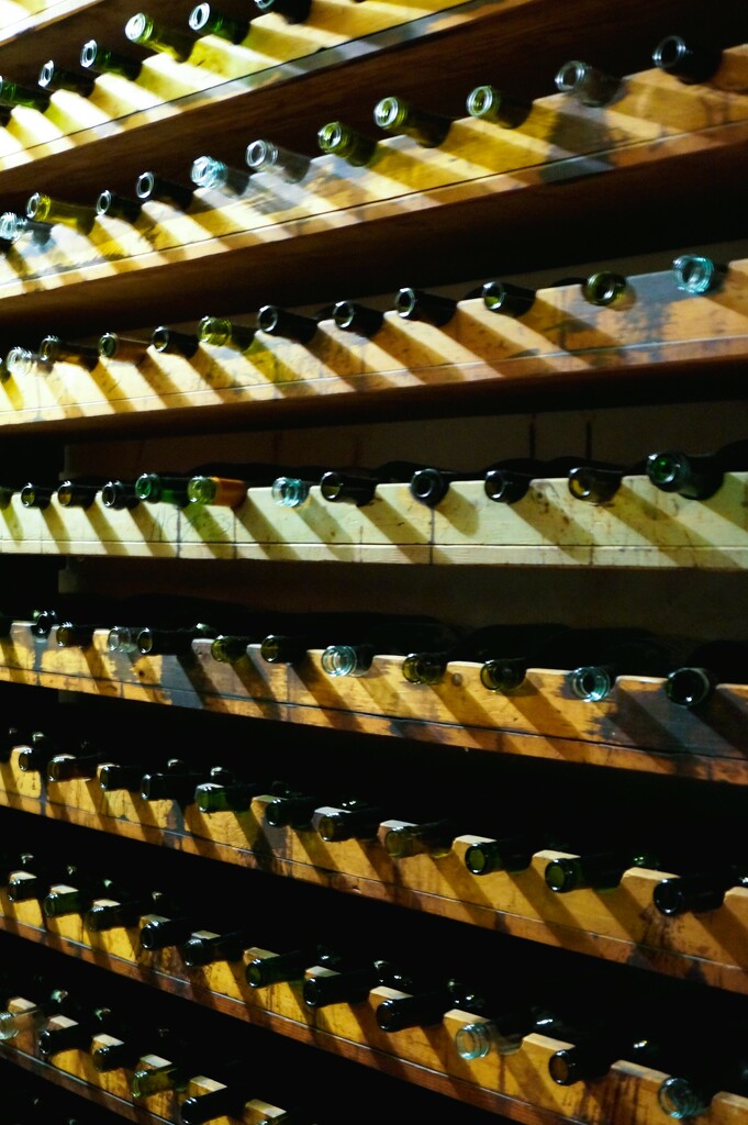 Wine Cellar at  Cà d'Zan by photohoot