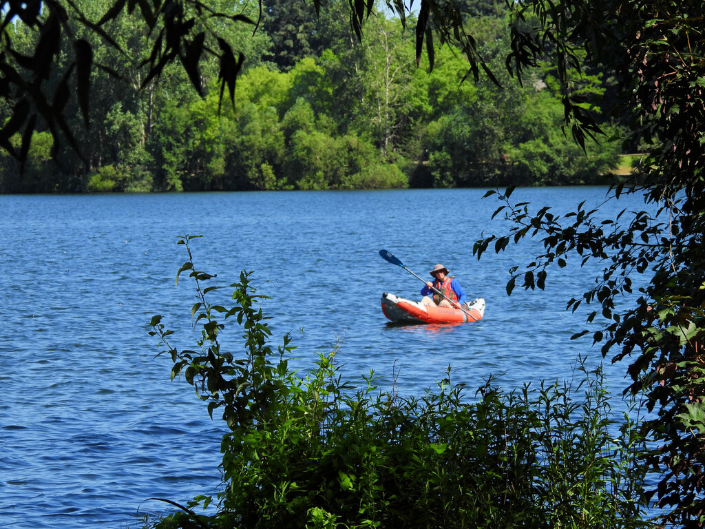 Green Lake  by seattlite