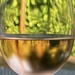 Reflections in Vino  by rensala