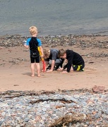 18th Jul 2024 - On the beach 