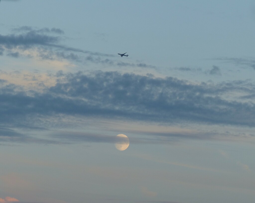 On the way to Bejing,  via the moon. by jokristina