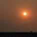 Bird On The Shed Ridge In Early Morning Haze by bjywamer