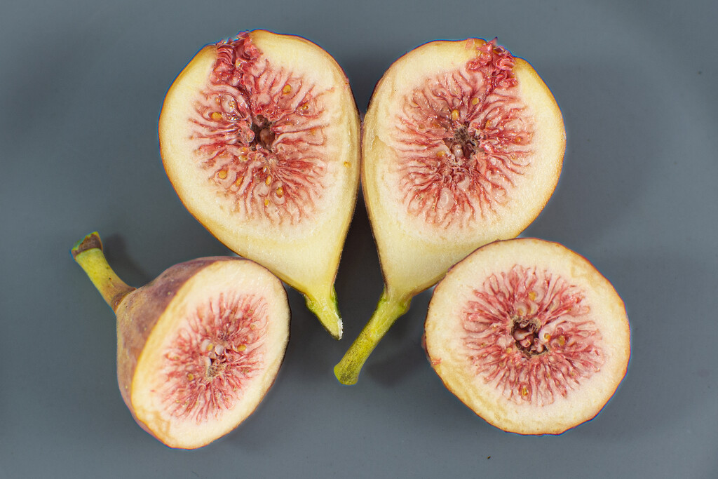 Inside the figs... by thewatersphotos