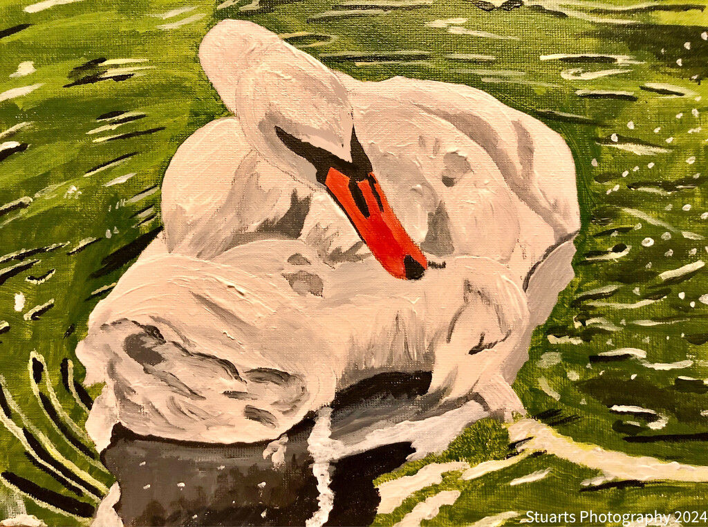 Resting swan (painting) by stuart46