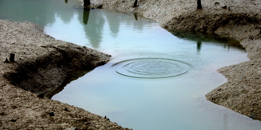 Low tide by dide