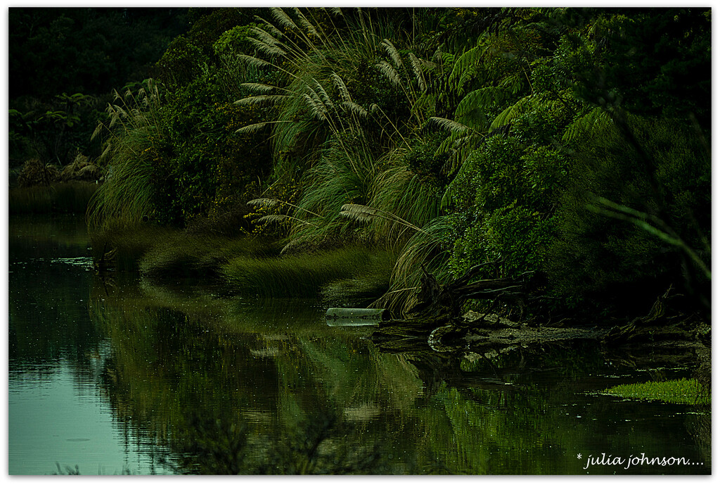 Estuary Edge by julzmaioro