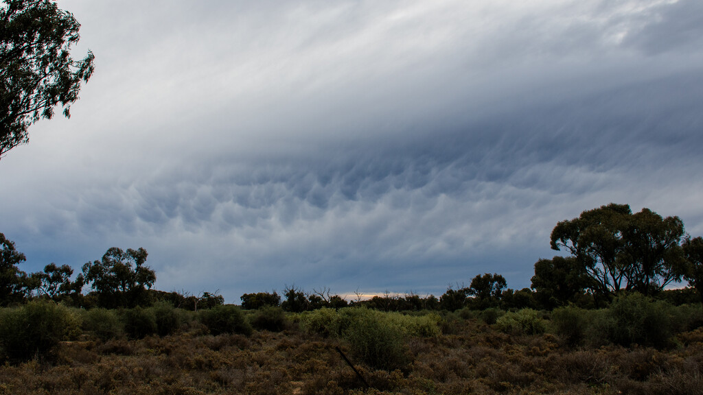 Mallee scrub and clouds by nannasgotitgoingon