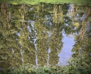 19th Jul 2024 - Reflections  