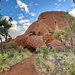 Uluru by corymbia