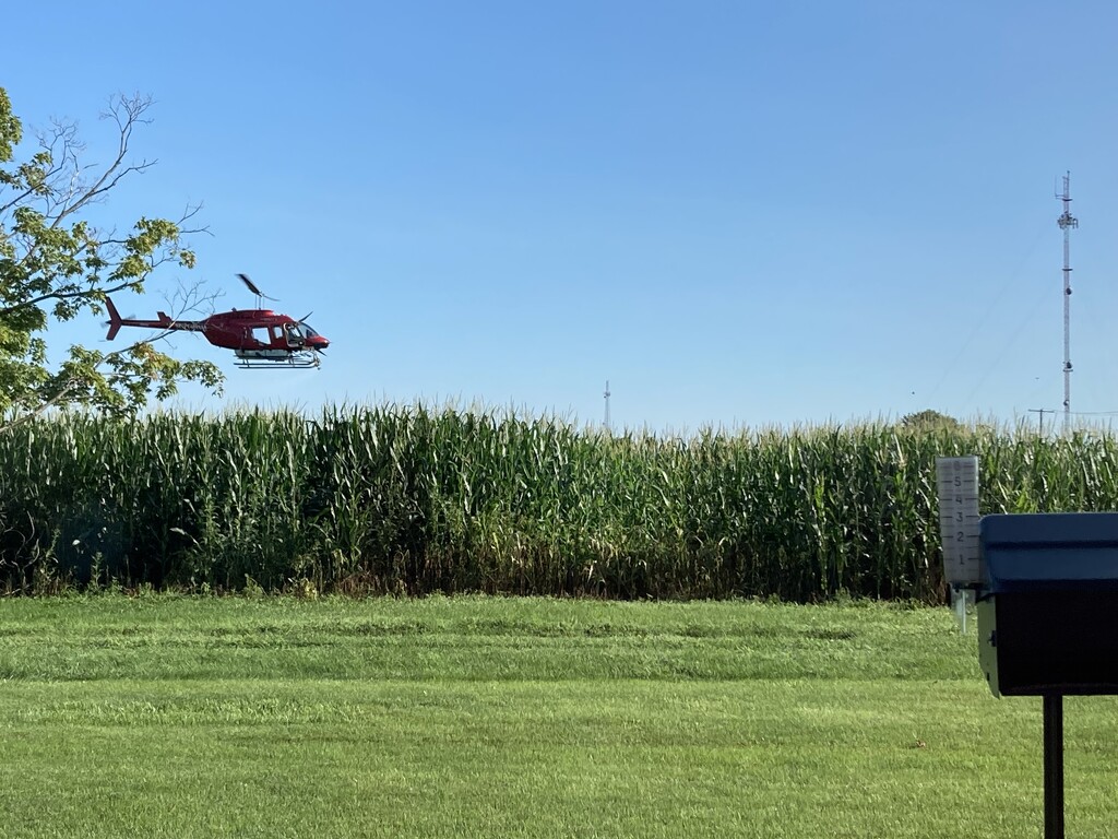 Helicopter spraying the corn by illinilass