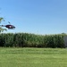 Helicopter spraying the corn