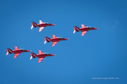 19th Jul 2024 - More planes flying over my garden