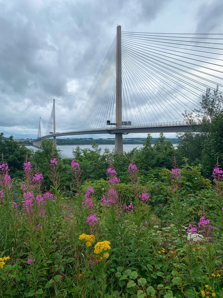 The  Queensferry Crossing…… by billdavidson