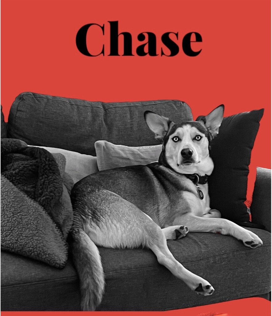 Chase by radiogirl