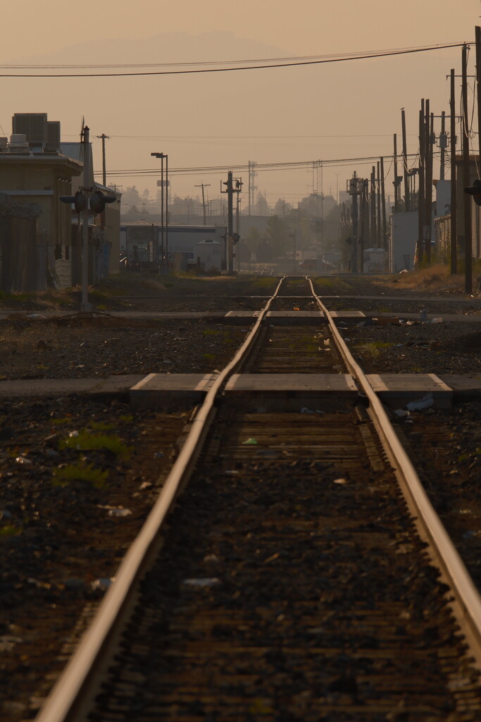 Morning on the tracks by josharp186