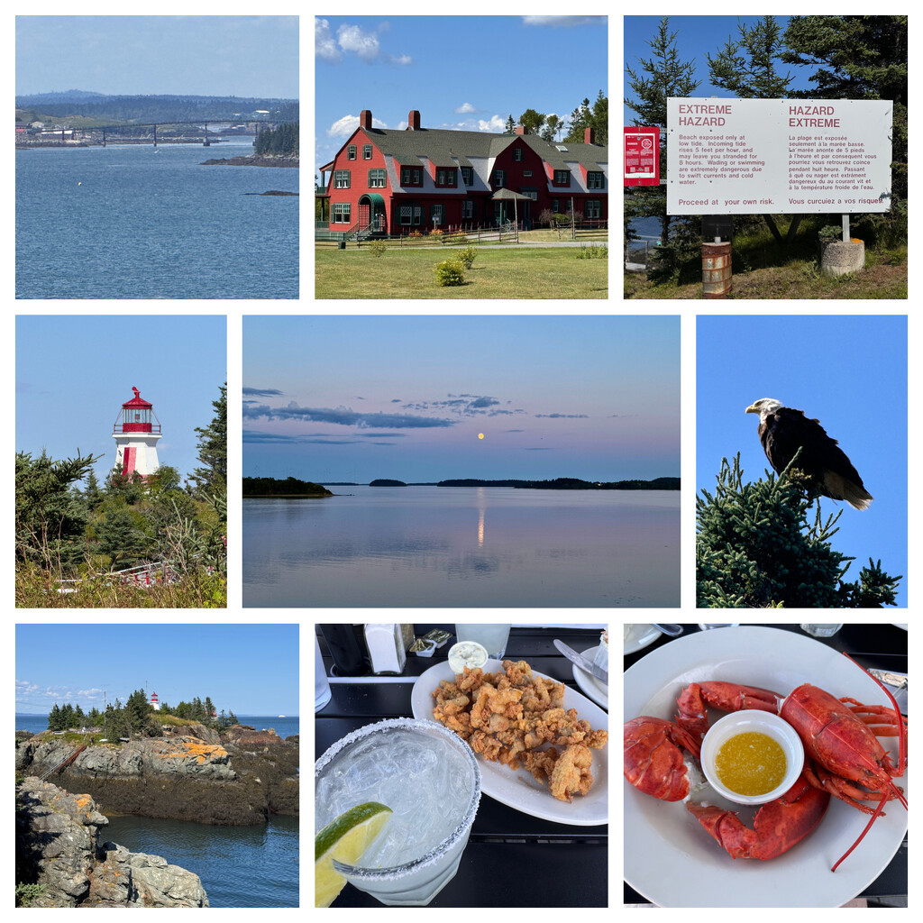 Machiasport, Maine , Day 21, Lubec and Campobello by berelaxed